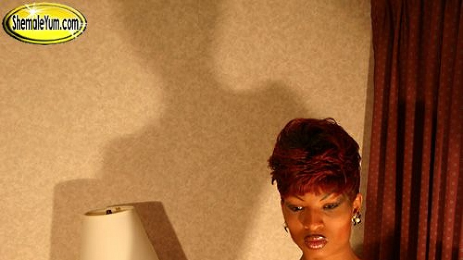 Ebony Tgirl Lady Seductive