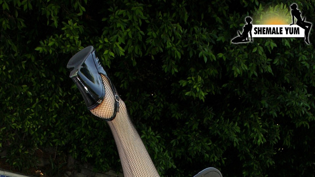 Birdmountain Poolside