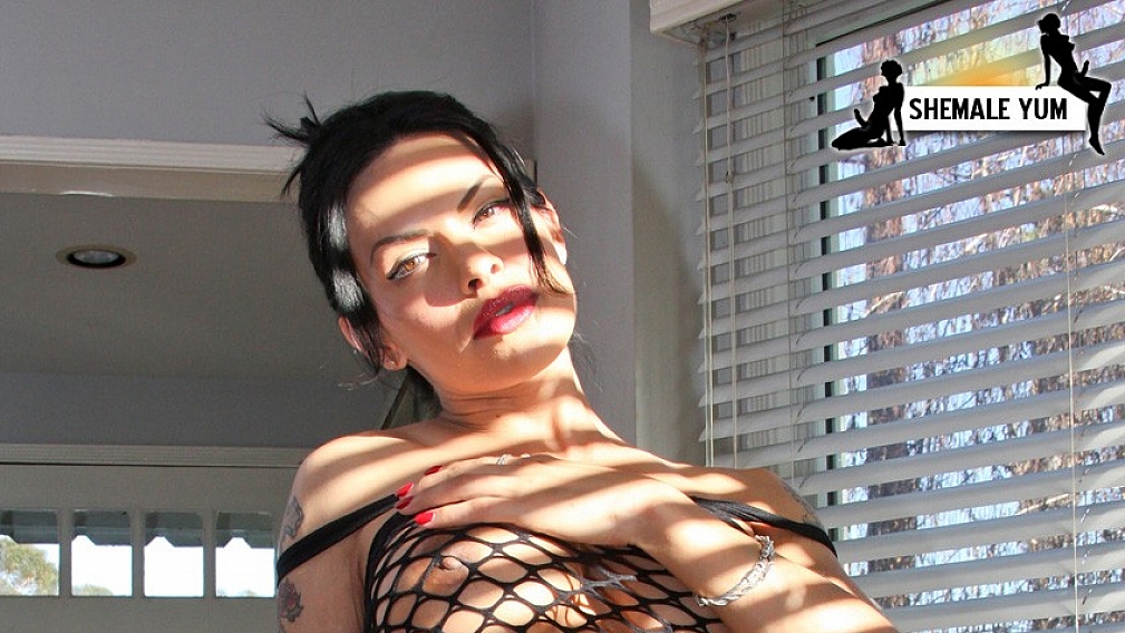 Foxxy in Fishnet!